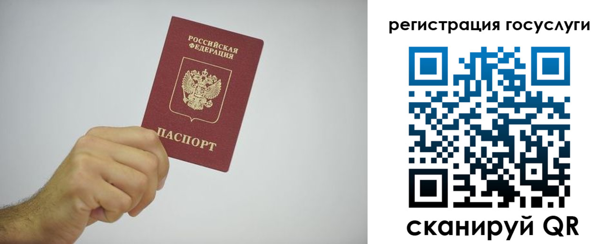 временная регистрация гарантия в Камчатском крае